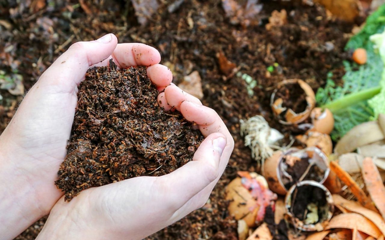 Compostagem em apartamento: como transformar restos de comida em adubo sem mau cheiro
